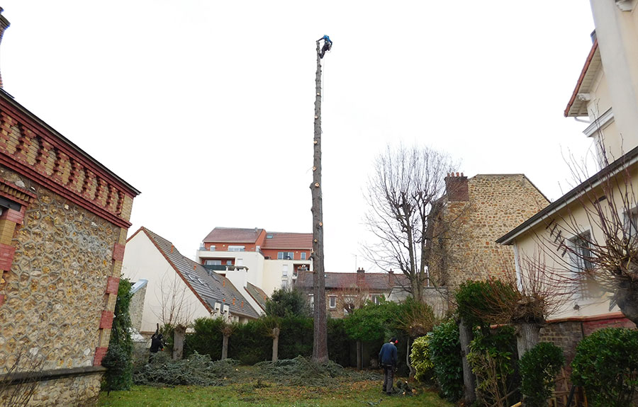 D&eacute;montage d'arbres dans le Val d'Oise image 2